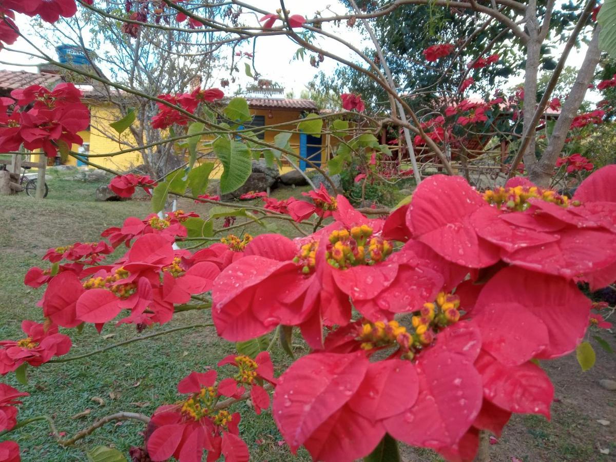 Rancho Pedra Preta Villa Itamonte Esterno foto